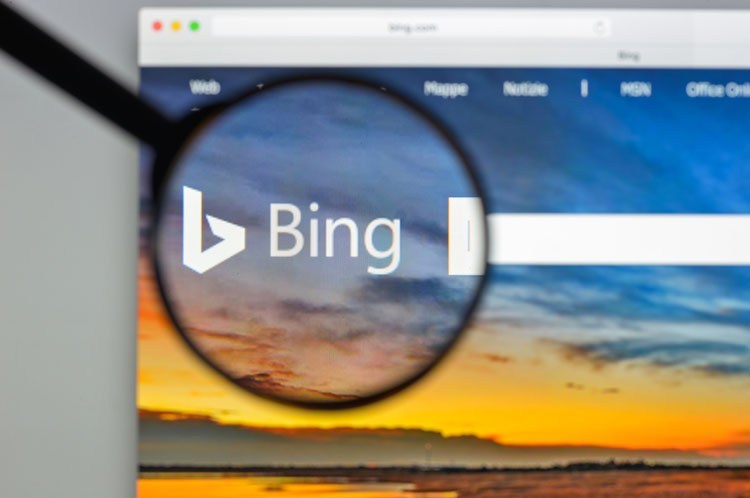 Bing inspection tool Bing inspection tool