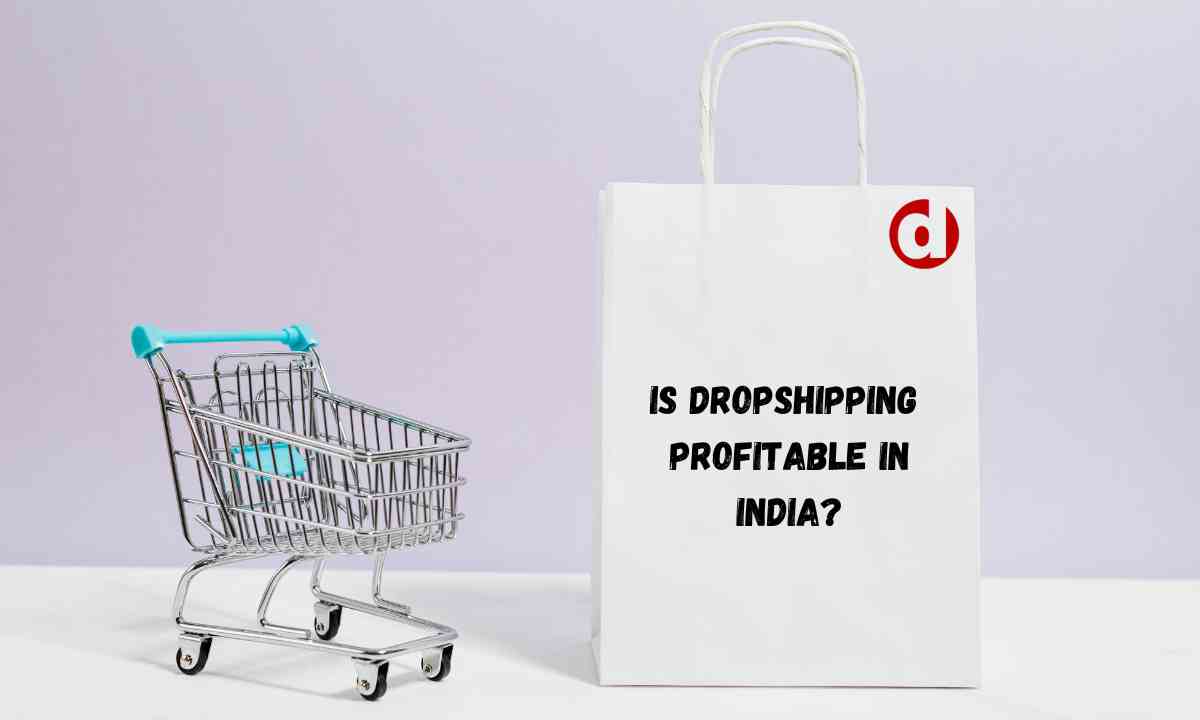 Is dropshipping profitable in india Is dropshipping profitable in india