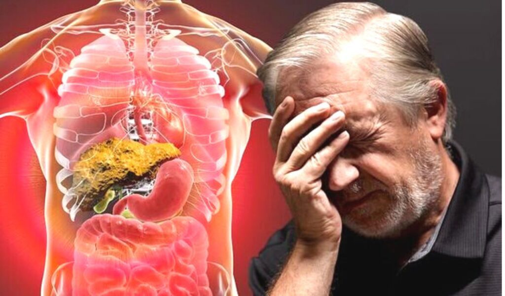 fatty liver related to brain damage