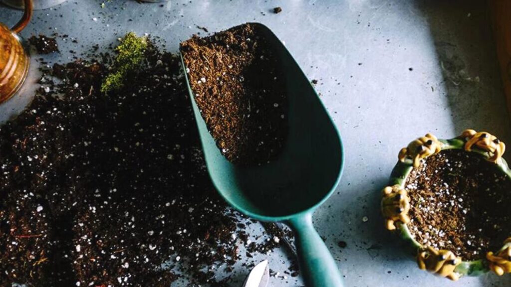 kitchen tips: Leftover tea leaves