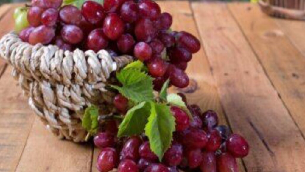 Red grapes benefits