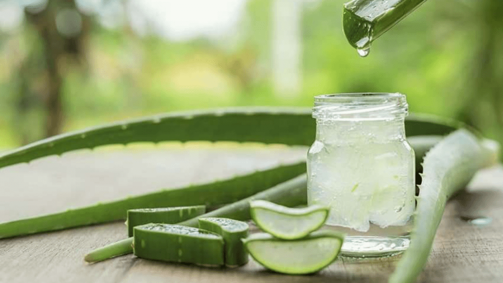 Aloevera for teeth