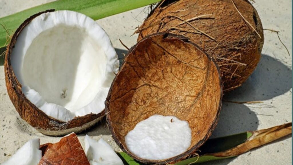 Coconut cream smoothie